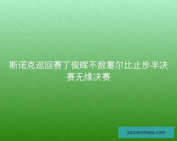 斯诺克巡回赛丁俊晖不敌塞尔比止步半决赛无缘决赛