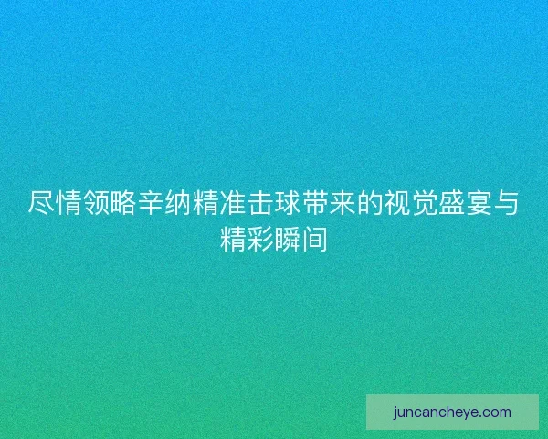 尽情领略辛纳精准击球带来的视觉盛宴与精彩瞬间