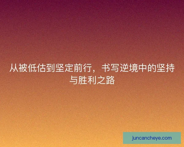 从被低估到坚定前行，书写逆境中的坚持与胜利之路